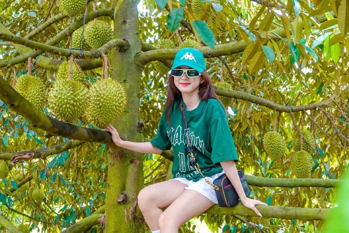 Visit to Cai Mon fruit orchard