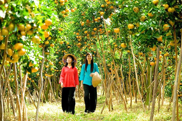Cai Mon Fruit Garden