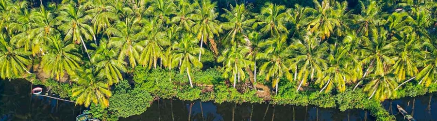 2 days in Ben Tre, a peaceful destination in the heart of the Mekong Delta