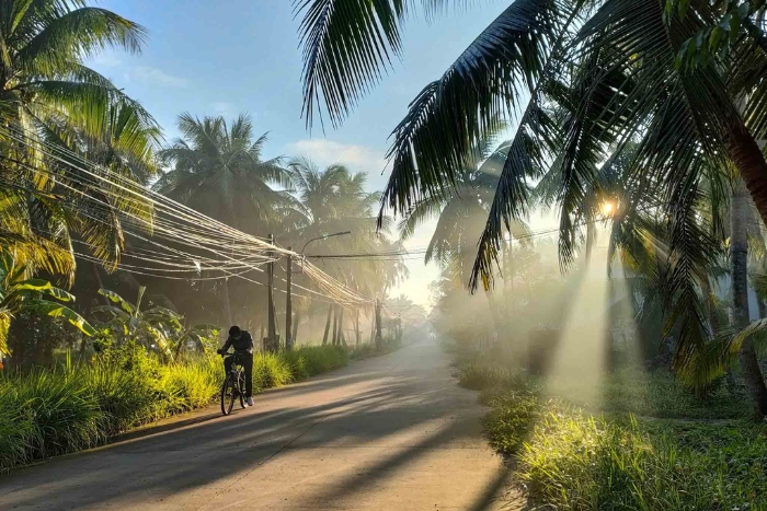 Bicycle ride to explore a beautiful coconut garden