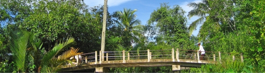Visit Ben Tre craft villages and surrounding area