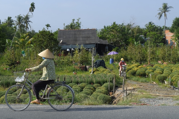 Cycling in Ben Tre to Cai Mon Flower Village