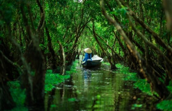 What To Do In Ben Tre When It Rains ?