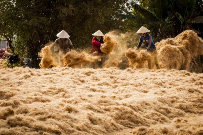 The handicraft around the coconut tree to discover during your trip to visit Ben Tre