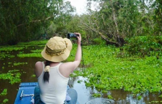 What To Do In An Giang ? A Visit At The Cajeput Forest Tra Su An Giang