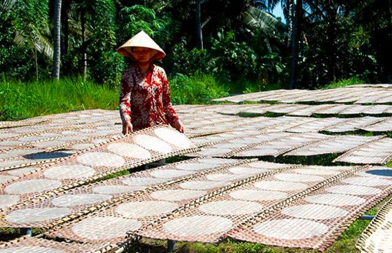 What To Do In Ben Tre ? Visit My Long Rice Paper Craft Village In Ben Tre, Vietnam