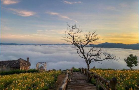 Evaluation Of 2 Weeks In The Central Highlands Of Vietnam By Mr. Garo