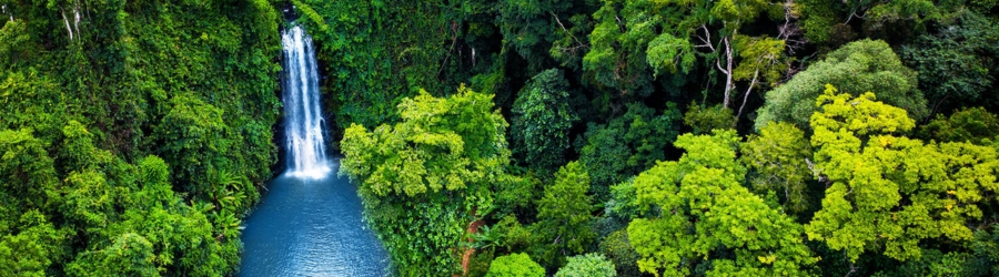 The wild nature of the highlands of Vietnam