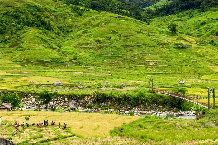 Landscape around the foot of Ngoc Linh Mountain