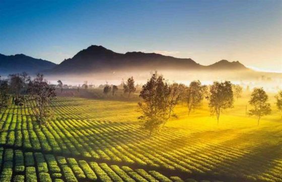Review Of 5 Days In The Central Highlands Of Vietnam By Mr. Hamid