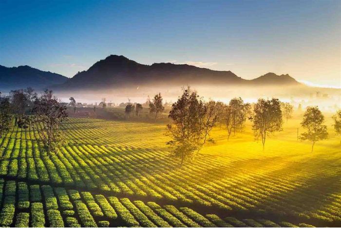 5 days of exploration in Vietnam's Central Highlands - Admire majestic nature