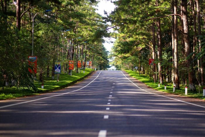 The lush forests of Mang Den