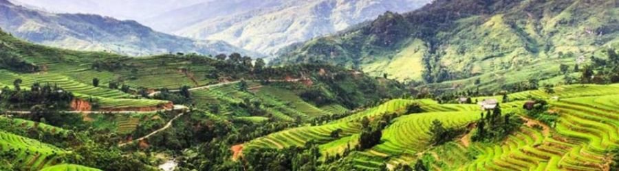 Review of 5 days in the Central Highlands of Vietnam by Mr. Hamid