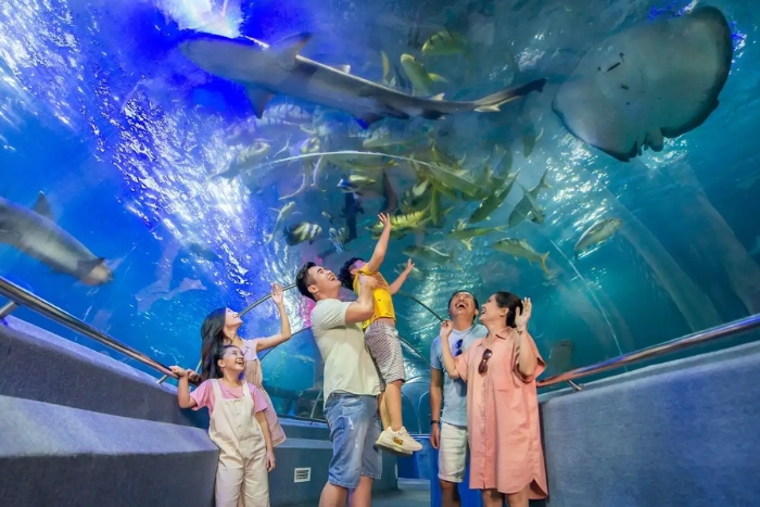 Admire the colorful ocean at the Nha Trang Oceanographic Institute