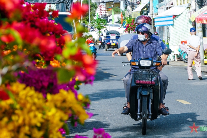 Visit Can Tho during Tet