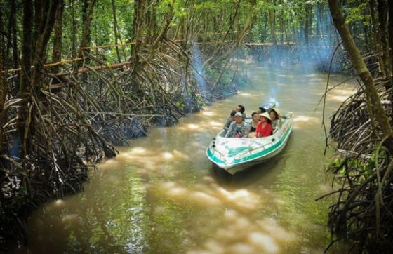 Advice Of 6 Days In Mekong Delta Tour Ca Mau Bac Lieu Can Tho By Mr. Rossi