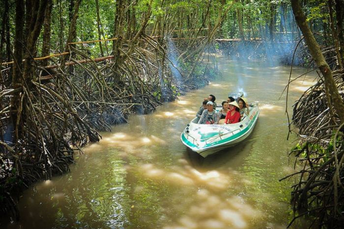 Primitive mangrove forest in Ca Mau Cape National Park