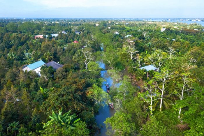 4 days in Can Tho and Sadec, visit Cu Lao Tan Phong