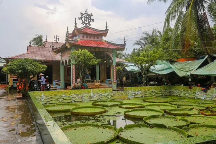 Lotus Pagoda in Sadec