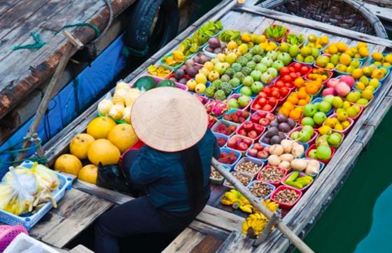 Top 08 Best Things To Do In Can Tho, Vietnam