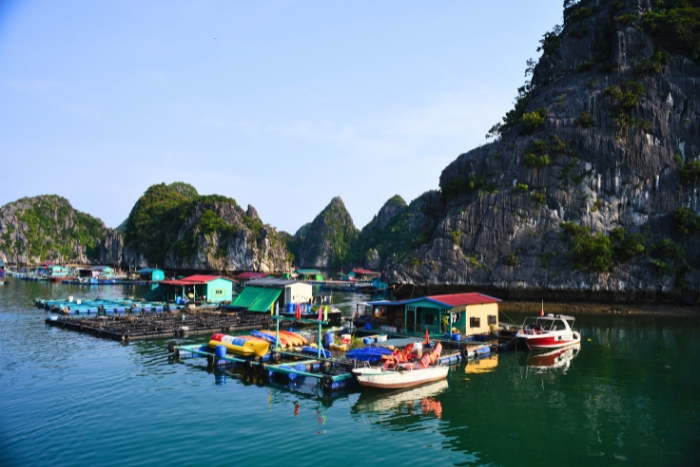 Traditional fishing life in Cai Beo Floating Village, Vietnam