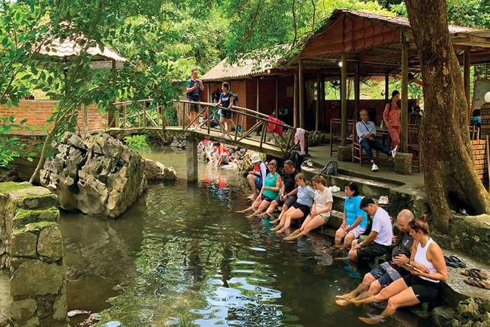 Tourists enjoy fish massage service 