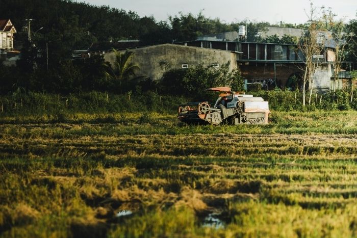 Discover the peaceful daily life of Mang Den's local people