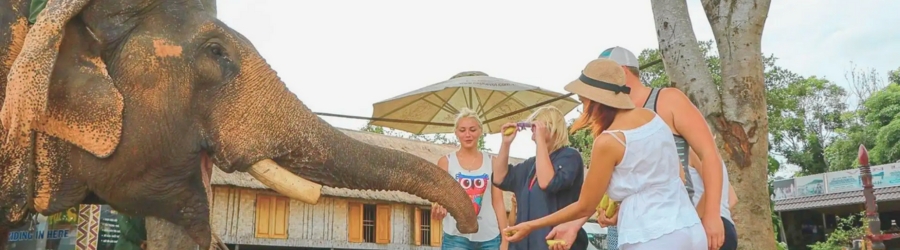 Which destination to choose: Dalat or Buon Ma Thuot ?