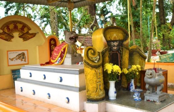 Things To Do And See In An Giang: Visit Tiger Island, Cu Lao Ong Ho An Giang