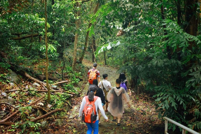 What to do in Con Dao in 1 day – Trekking through the National Park