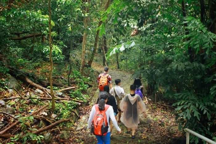 Trekking through Con Dao National Park — raw, spectacular nature