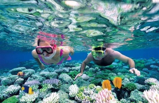 What To Do In Con Dao ? Top 6 Best Things To Do And See In Con Dao