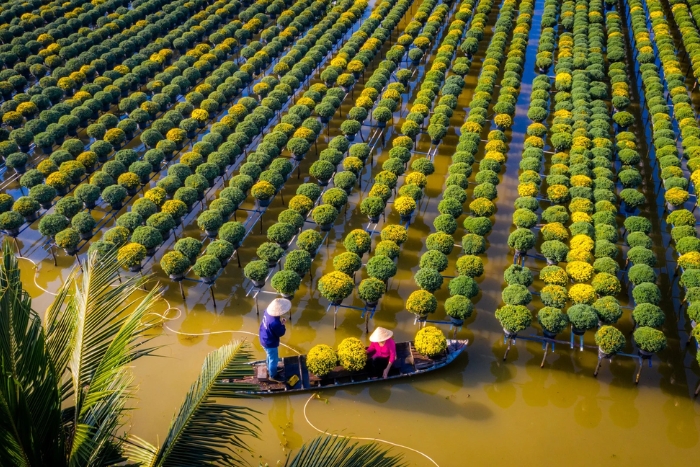 Don't hesitate to visit Sadec flower village 