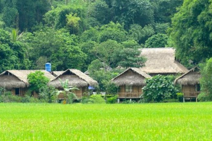 The green valley in Mai Chau