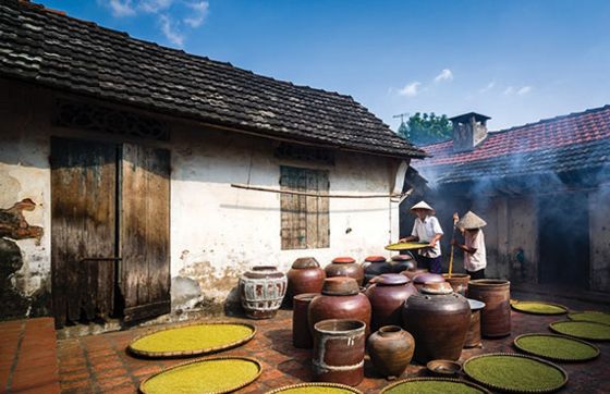 Things To Do In Hanoi ? Visit Village Duong Lam Hanoi