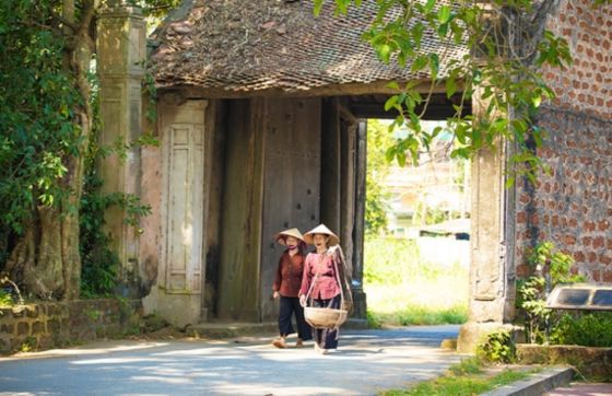 One Day To Explore Duong Lam Ancient Village In Hanoi, Vietnam