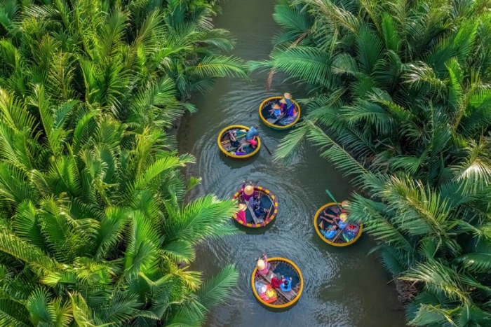 Bay Mau Coconut Forest