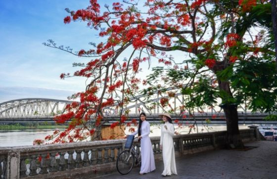Hue What To Do? Explore The Imperial Citadel Of Hue