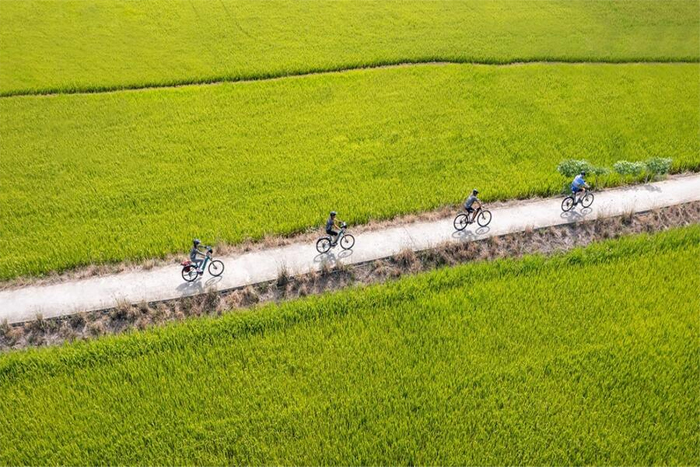 A bike ride to the Tra Que vegetable village
