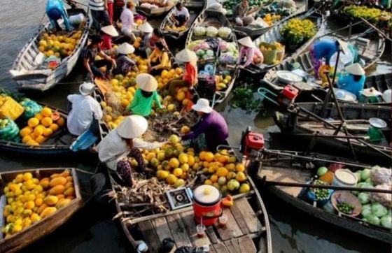 Impression Of 24h Mekong Delta Tour By Mr Bueno