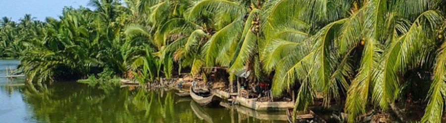 Discovery of the 24h Mekong Delta tour with Mr. Bueno
