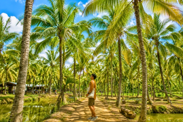 The tropical climate of the Mekong Delta