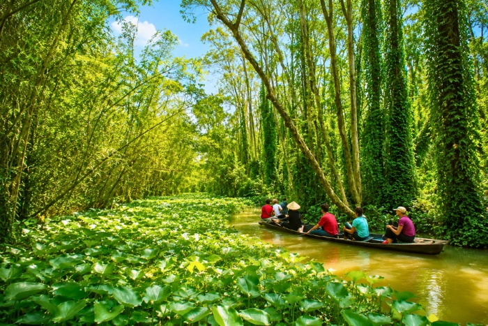 What to do in the Mekong Delta ? Explore the wetlands during the rainy season