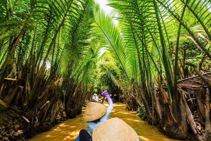 Natural beauty of the Mekong Delta Vietnam