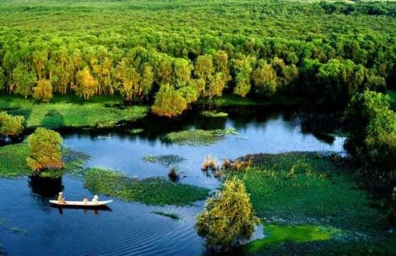 What To Do In Ca Mau Bac Lieu 4 Days? Mekong Tour Review By Piron