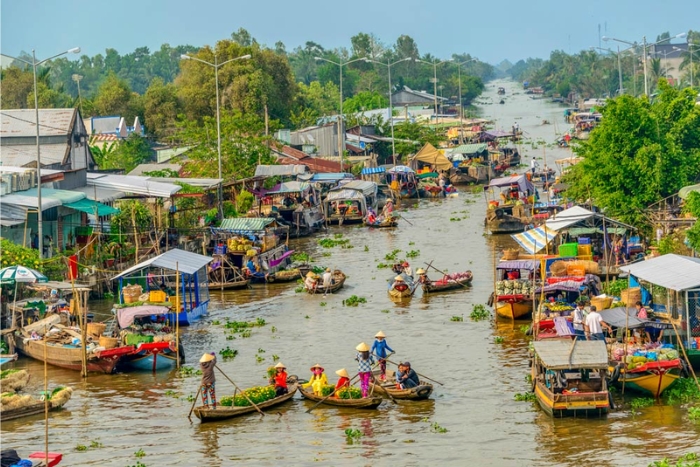 Dive into the life of the Mekong Delta