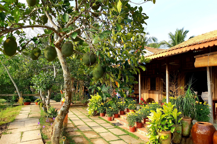 Visit Ut Trinh Homestay