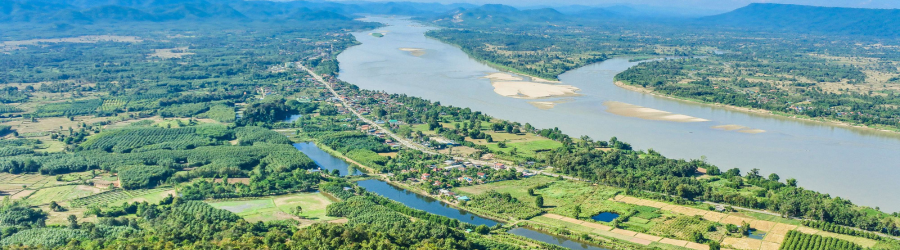 What to do in Mekong delta 1 day?