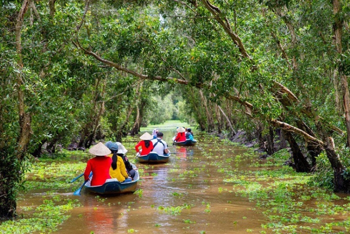 Tra Su melaleuca forest