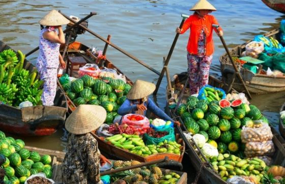 Analysis Of The 2-day Mekong Delta, Vietnam Itinerary By Mr. Richard